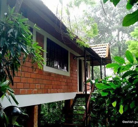 Coffee Acres Plantation Resort Калпетта Экстерьер фото