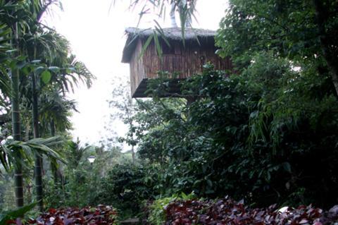 Coffee Acres Plantation Resort Калпетта Номер фото