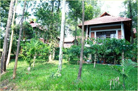 Coffee Acres Plantation Resort Калпетта Экстерьер фото